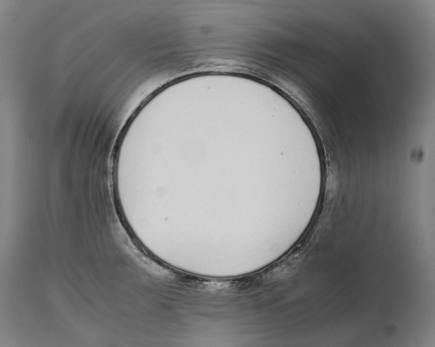 X0000111531283200908111217