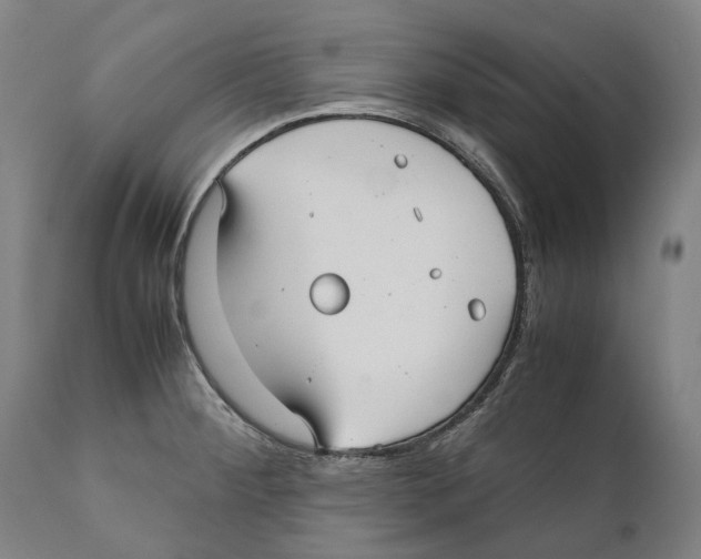 X0000111531284200908111217