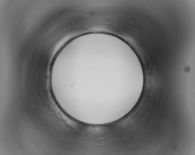 X0000111531286200908111217