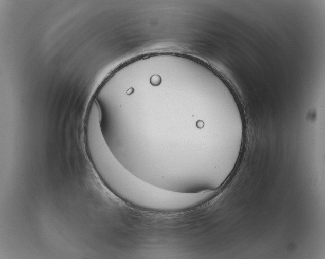 X0000111531288200908111217