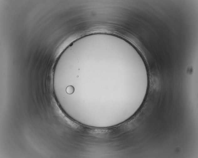 X0000111531290200908111217