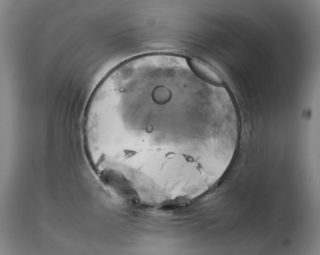 X0000111531291200908111217