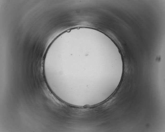 X0000111531292200908111217