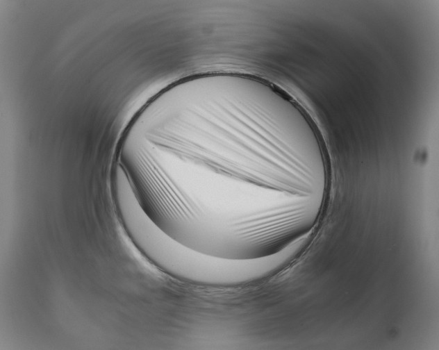 X0000111531293200908111217