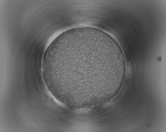 X0000111531294200908111217