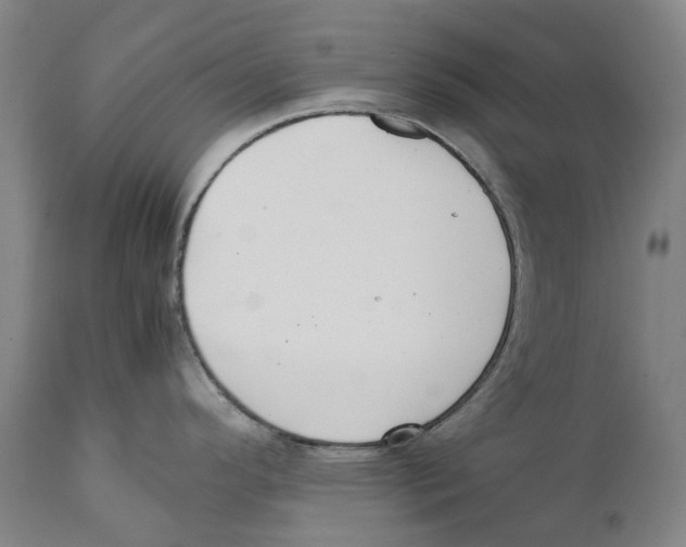 X0000111531296200908111217