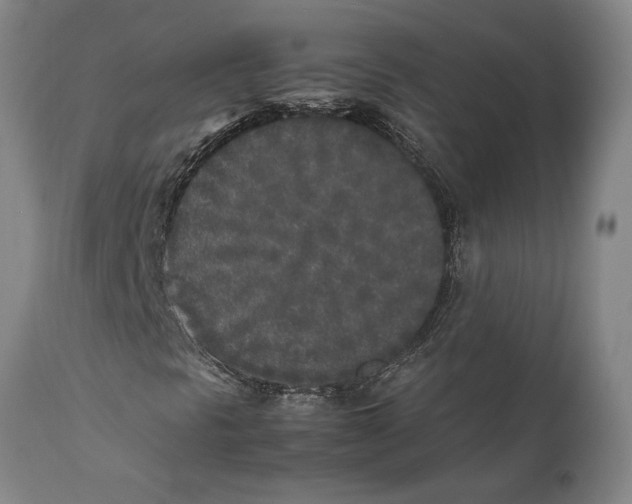 X0000111531297200908111216