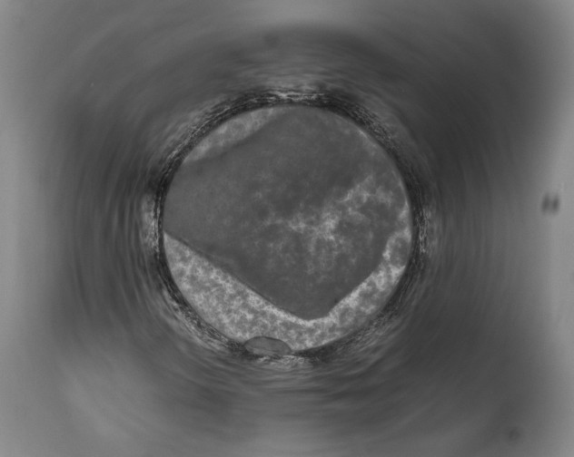 X0000111531298200908111216