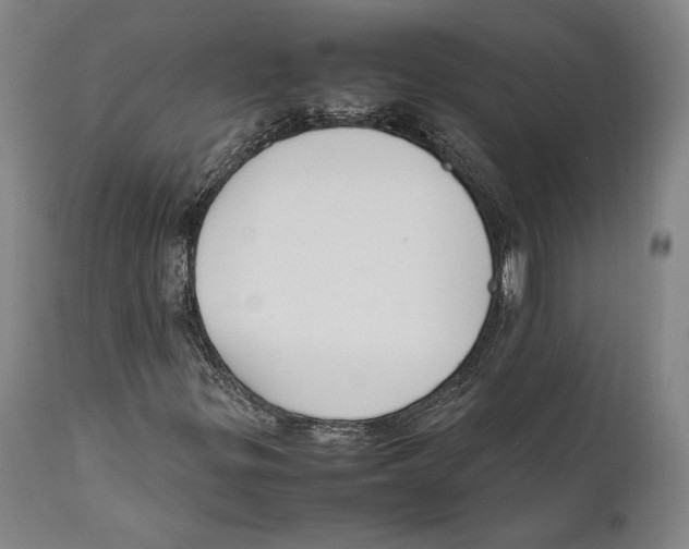 X0000111531299200908111216