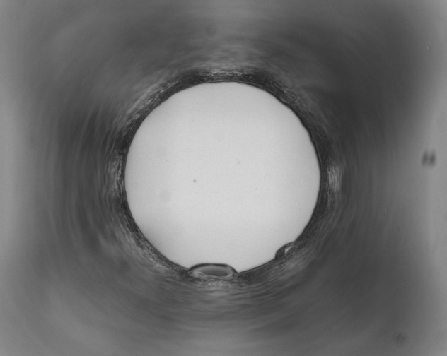 X0000111531300200908111216