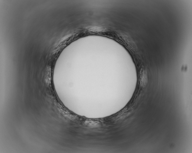 X0000111531301200908111216