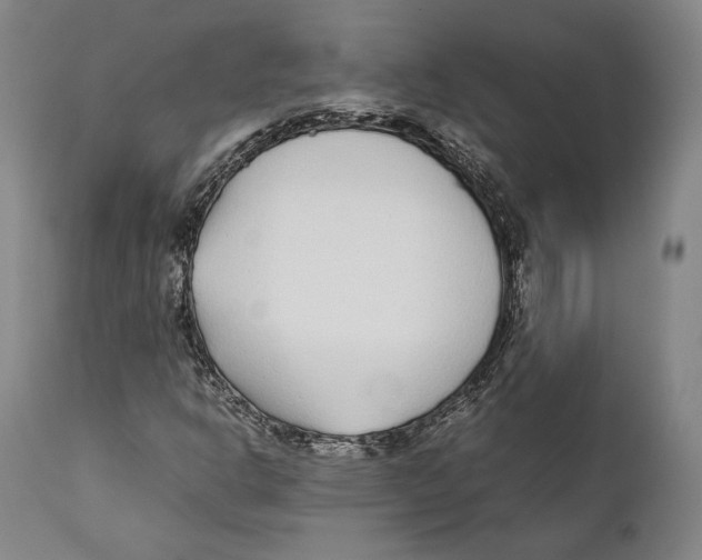 X0000111531302200908111216