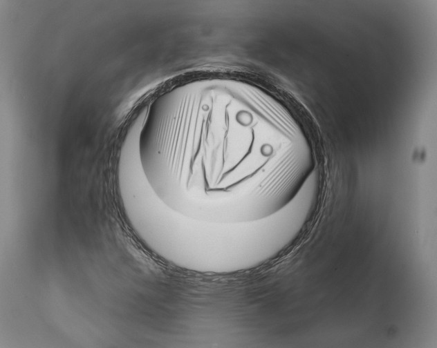 X0000111531304200908111216