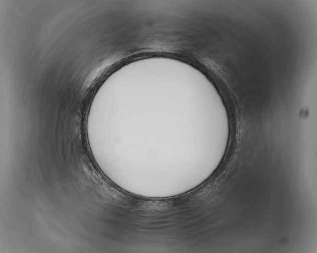 X0000111531307200908111216