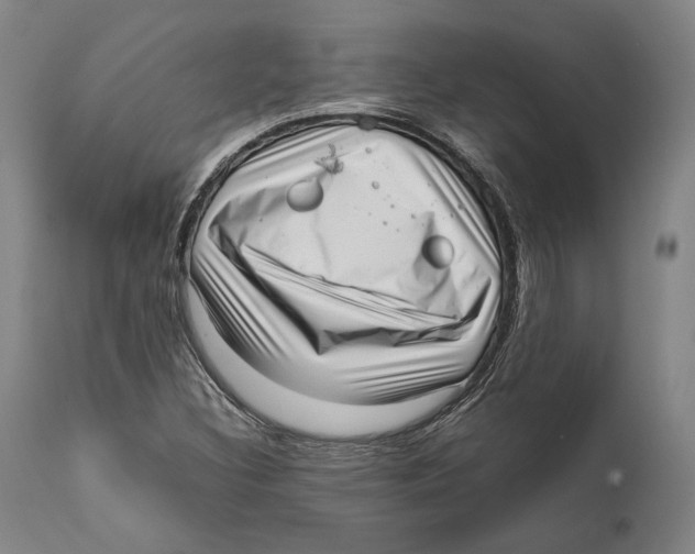 X0000111531308200908111216