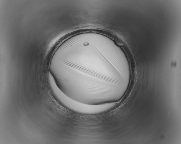 X0000111531310200908111216