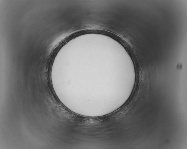 X0000111531311200908111216