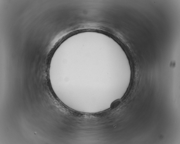 X0000111531312200908111216