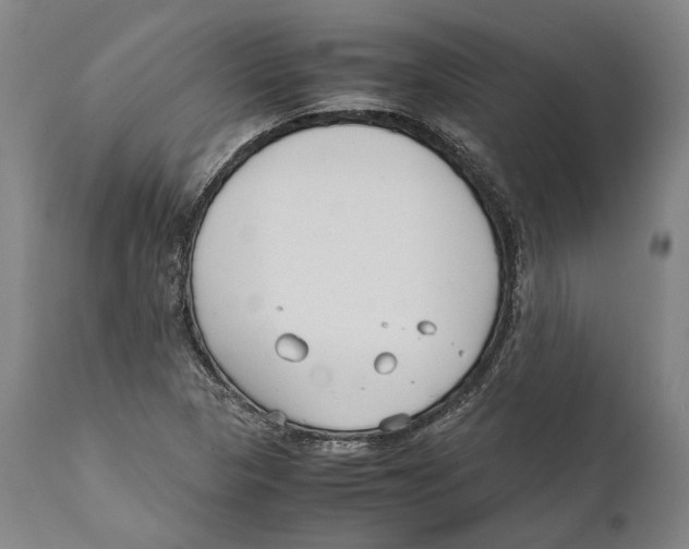 X0000111531313200908111216