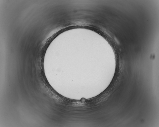 X0000111531315200908111216