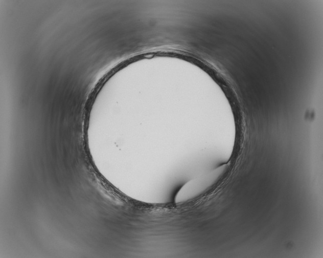 X0000111531316200908111216