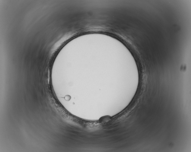 X0000111531317200908111216