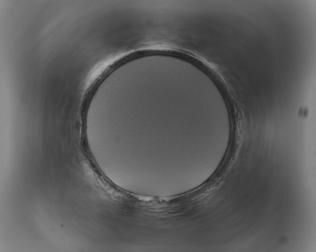 X0000111531319200908111216