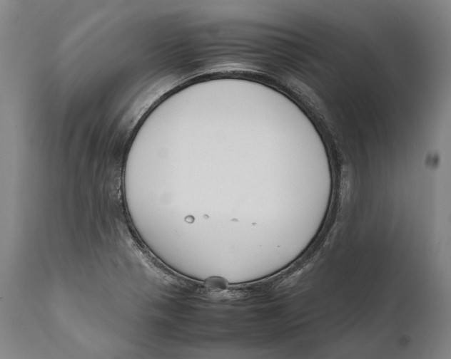 X0000111531321200908111217