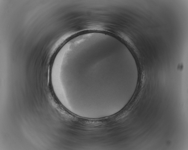 X0000111531323200908111217