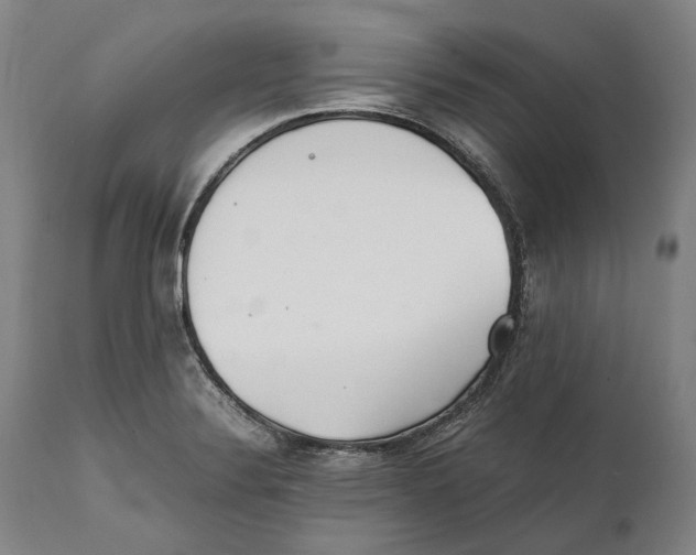 X0000111531324200908111217