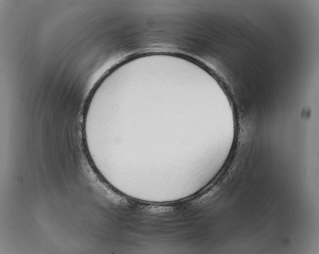 X0000111531325200908111217