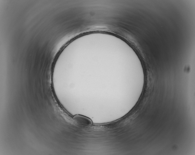 X0000111531328200908111217