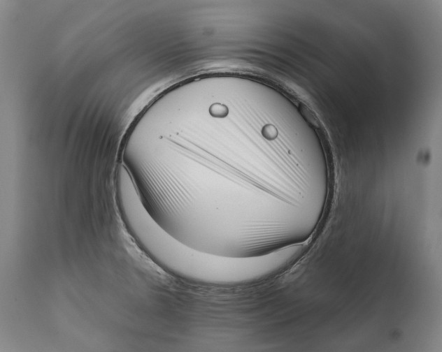 X0000111531330200908111217