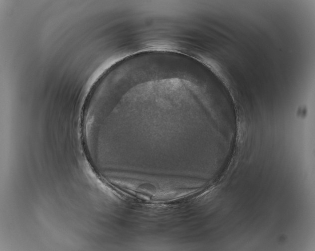 X0000111531331200908111217