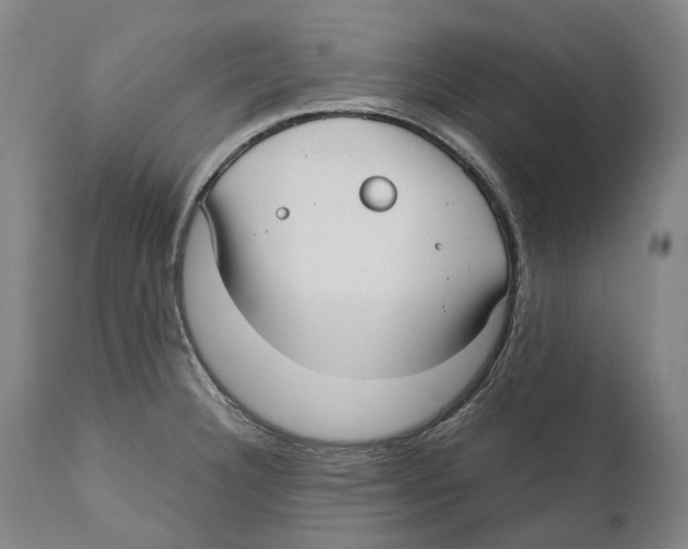 X0000111531332200908111217