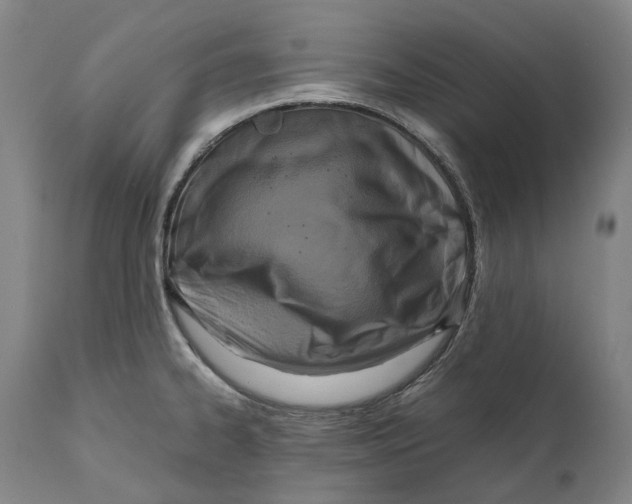 X0000111531334200908111217