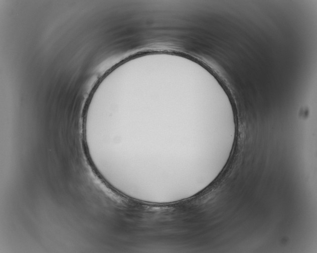 X0000111531335200908111217