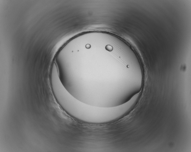 X0000111531336200908111217