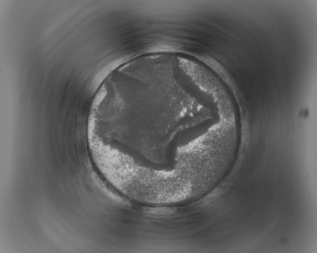 X0000111531337200908111217