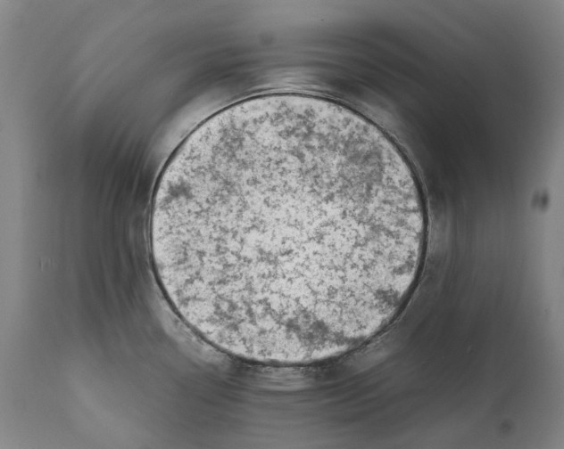 X0000111531338200908111217