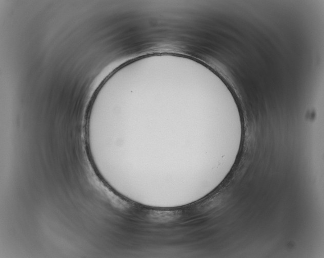 X0000111531339200908111217