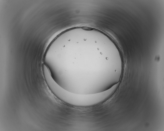 X0000111531340200908111217