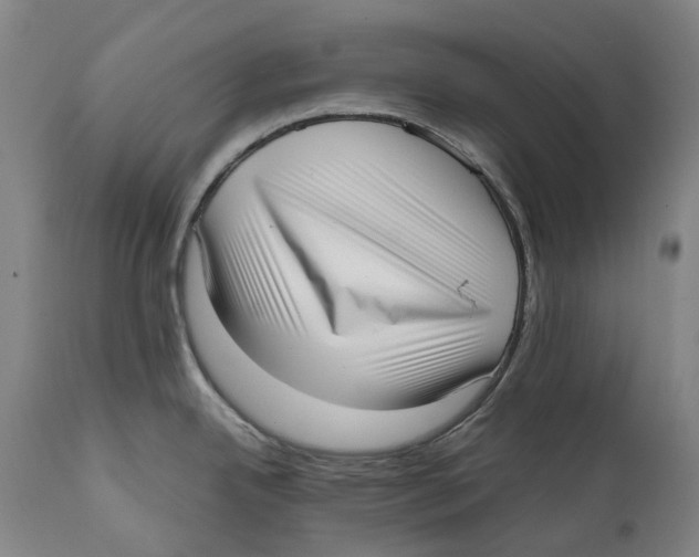 X0000111531342200908111217