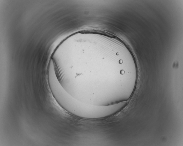 X0000111531344200908111217