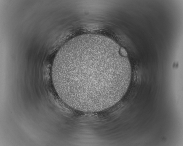 X0000111531346200908111216