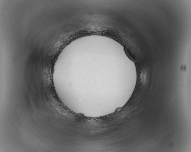 X0000111531348200908111216