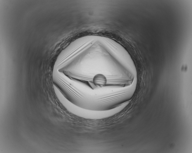 X0000111531349200908111216