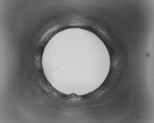 X0000111531351200908111216