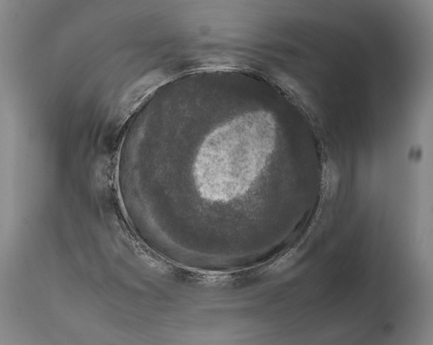 X0000111531353200908111216