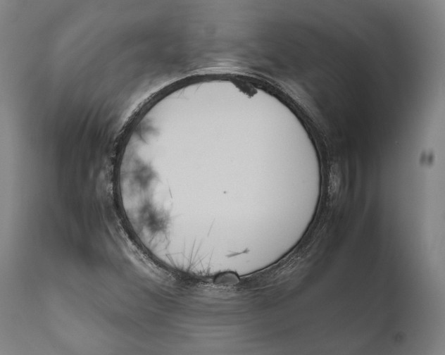 X0000111531356200908111216